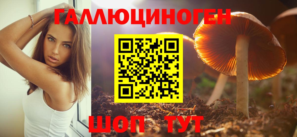 Галлюциногенные грибы Magic Shrooms Десногорск